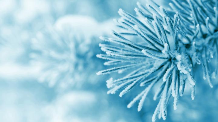 4K Winter Wallpaper (28+ images)