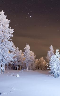 Free download Download Wallpaper 3840x2160 Winter Forest Snow 4K Ultra 