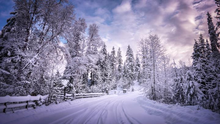 Winter Road Snow Trees White, HD Nature, 4k Wallpapers, Images 