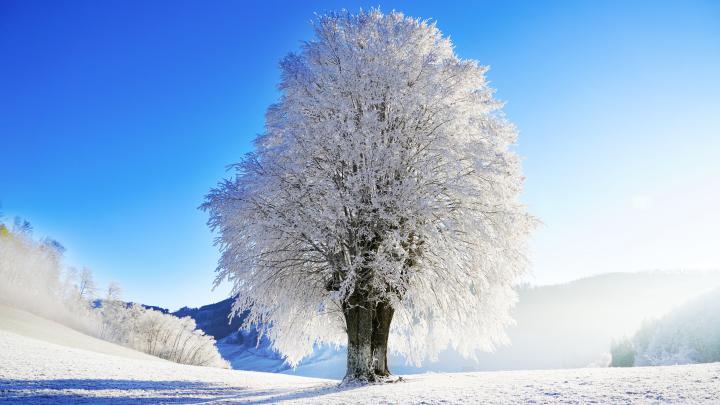 19++ Ultra Hd Winter Season Wallpaper Hd - Green Wallpaper