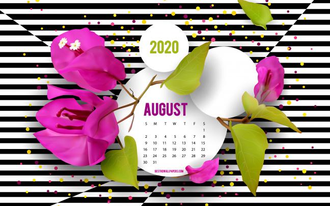 August 2020 Wallpapers