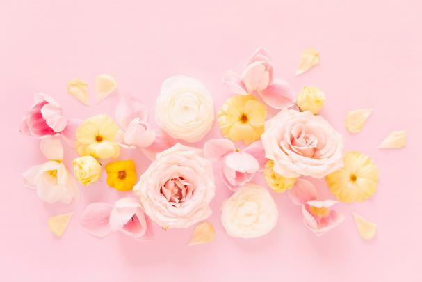 Summer 2021 Wallpapers