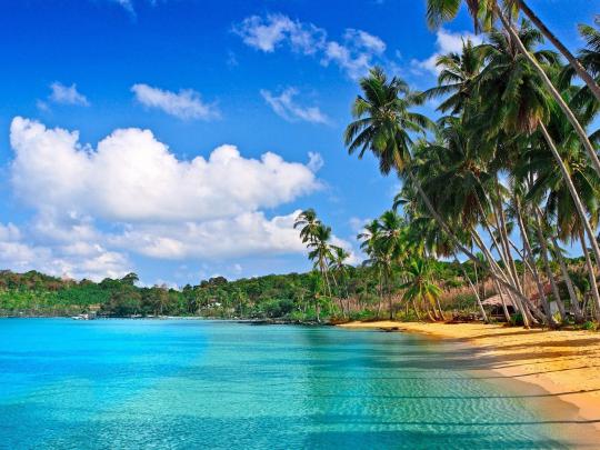 Beach Caribbean Wallpaper Hd 2560x1440