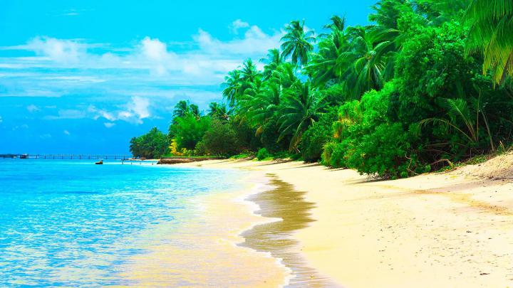 Maldives Summer Resort Sea Sandy Beach Coconut Trees Waves Desktop 