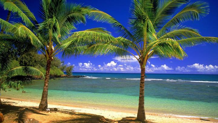 [75+] Hd Beach Desktop Backgrounds 