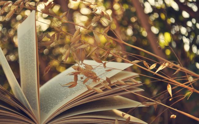 Desktop Book HD Wallpapers