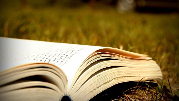 Reading Books Wallpapers