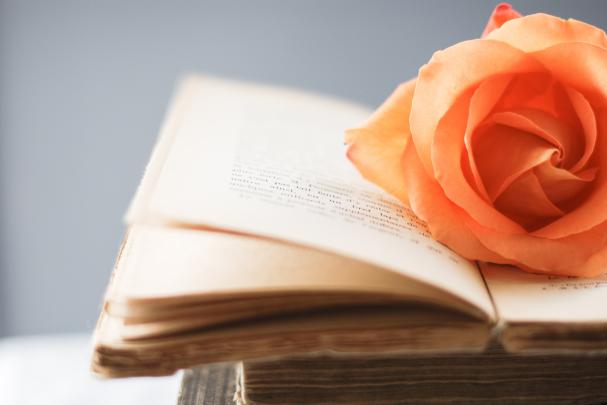 Book HD Wallpaper | Background Image | 3822x2548