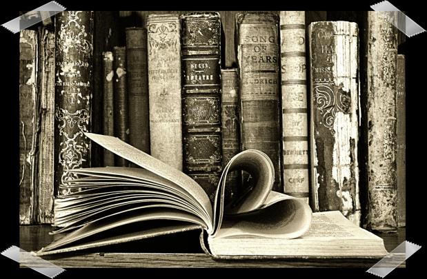 Book Lover Wallpaper -