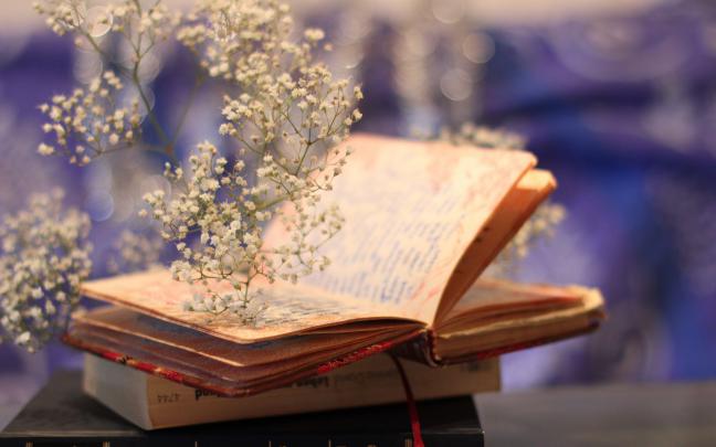 Book Wallpapers - Top Free Book Backgrounds - WallpaperAccess