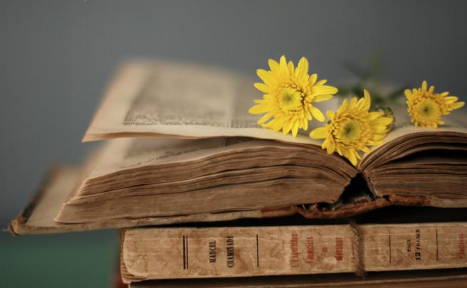 Book HD Wallpaper | Background Image | 1999x1233 | 408090 