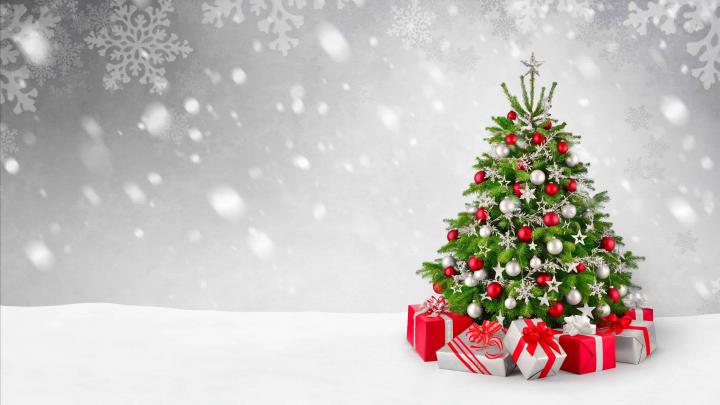 Christmas Tree 4k Wallpapers