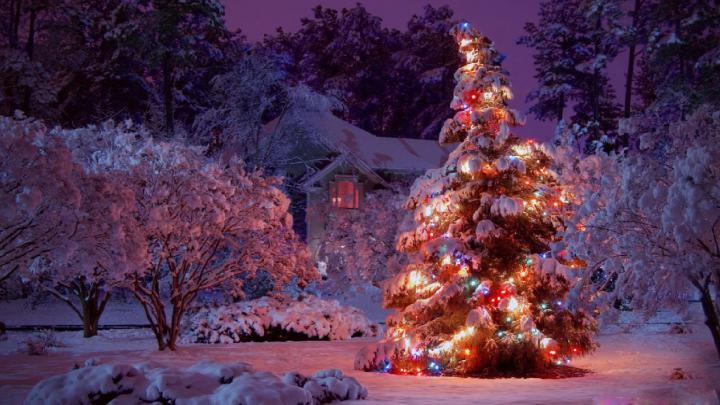 Christmas Tree Wallpapers HD (71+ images)