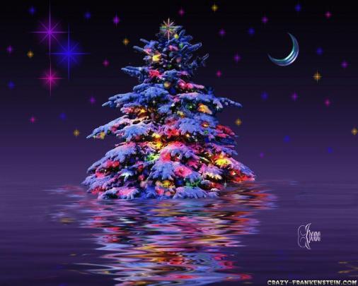 Christmas Trees Wallpapers