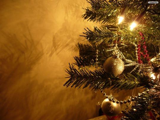 Christmas Trees Wallpapers