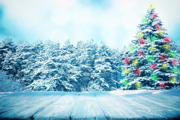 christmas, Tree, Fir, Trees, Snow, Nature Wallpapers HD \/ Desktop and 