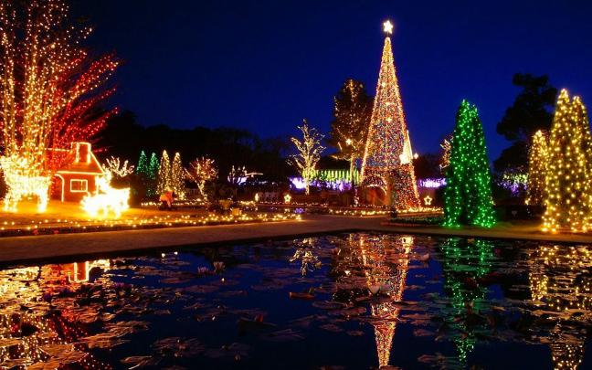 Christmas Tree HD Wallpaper - HD Wallpapers Blog