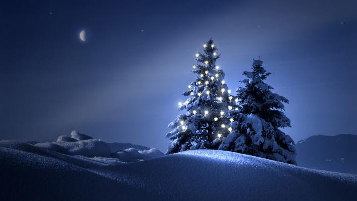 Clearly Christmas Tree At Night Wallpapers HD \/ Desktop and Mobile 