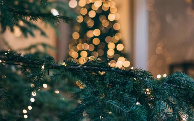 Christmas Tree 4k Wallpapers