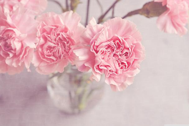 Cute HD Wallpapers for Desktop (73+ images)