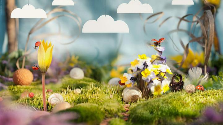 Cute Spring 1920x1080 Desktop Wallpapers -