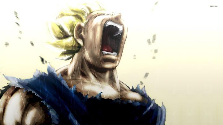 Free download Dragon Ball Z wallpaper 1280x800 Vegeta Dragon Ball Z 