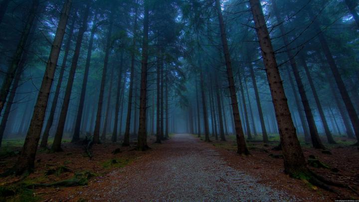 Free download 2560x1440 Wallpapers HD Widescreen Computer Desktop 