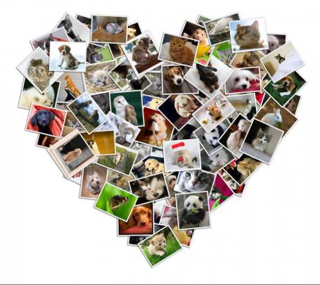 Photo collage wallpaper maker