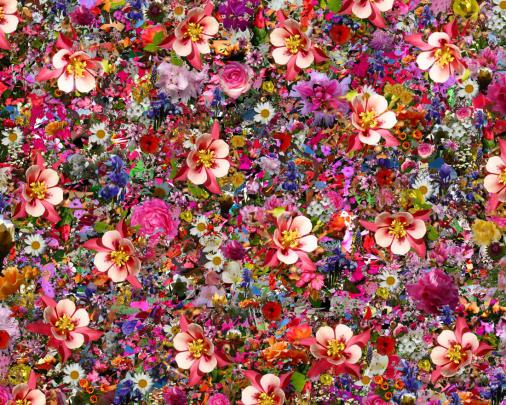 Make a Wallpaper Collage -