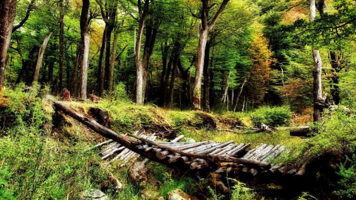 Nature Photos Free Download Wallpapers HD