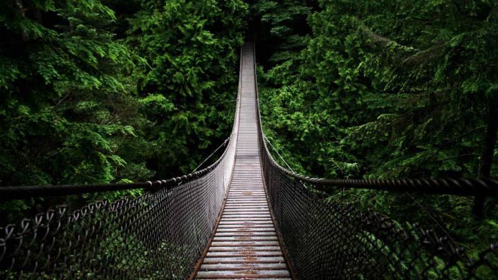 Nature Photos Free Download Wallpapers HD