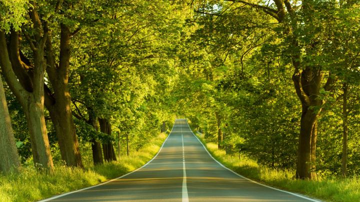 Free HD Wallpapers Backgrounds