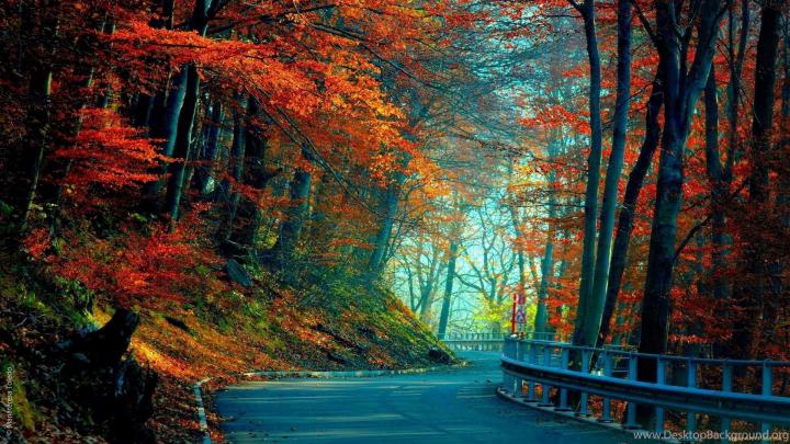 Full HD 1080p Autumn Wallpapers HD, Desktop Backgrounds 1920x1080 