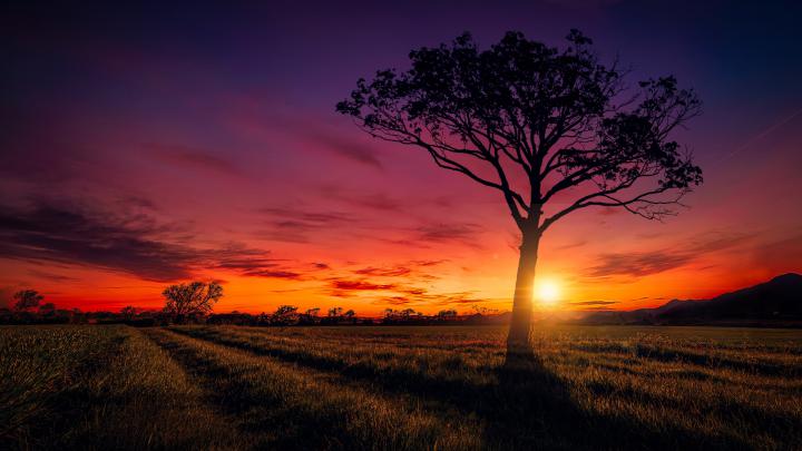 Download Free Sunset Scenery Full HD Wallpaper 4K Ultra HD - HD 