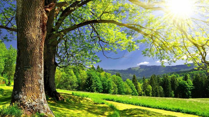 HD Summer Desktop Backgrounds