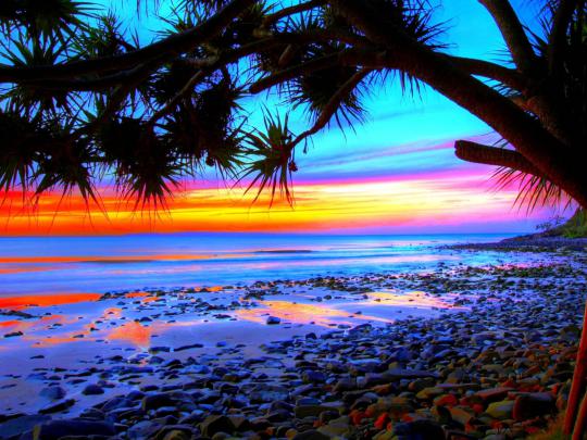 Tropical Landscape Colorful Beach Sunset Desktop Wallpapers Hd 