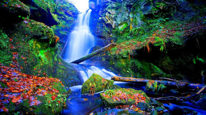 Forest Falls Desktop Background Wallpaper 1592428 25600x1600 Falls 