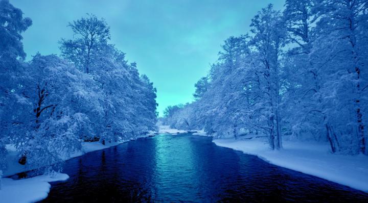 Winter Wonderland Desktop Background \u00b7\u2460 