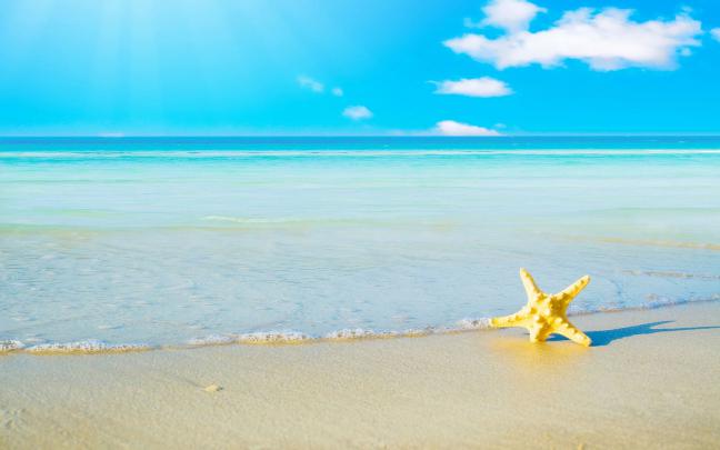 HD Summer Desktop Backgrounds