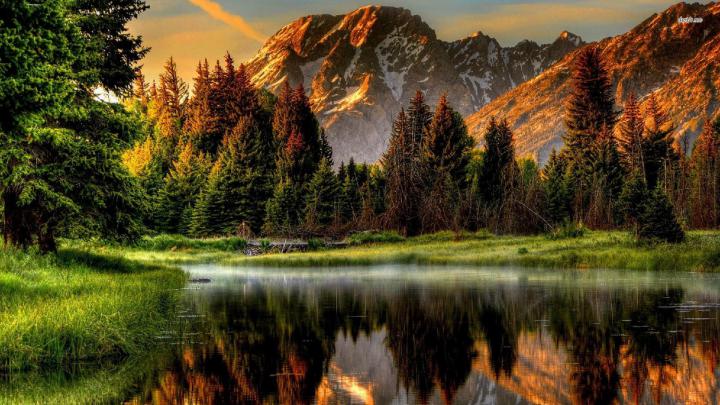Nexus Desktop Wallpaper Nature (60+ images)