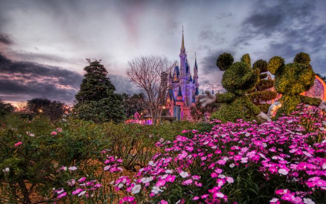 [47+] Disney World Wallpaper Desktop 