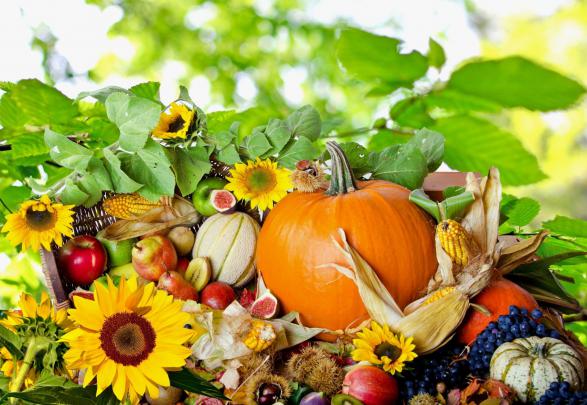 Thanksgiving 2017 Wallpapers