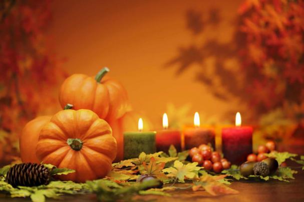 Thanksgiving Wallpapers HD Free Download