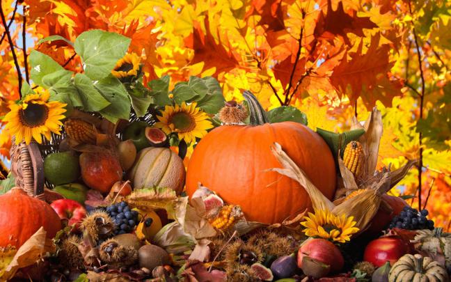 FREE 21+Thanksgiving Wallpapers in PSD