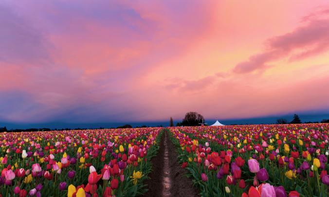 Desktop Backgrounds Widescreen \u00b7\u2460 