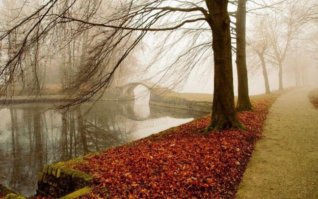 Best Desktop Backgrounds HD