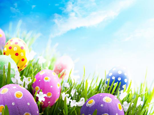 Free Happy Backgrounds