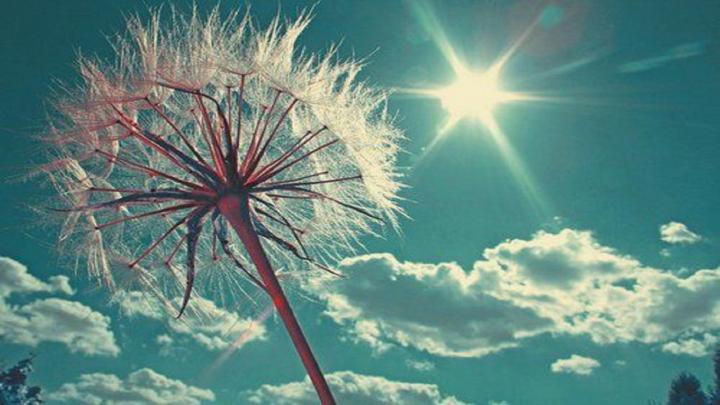 happy-sun-free-hd-wallpapers-for-desktop - HD Wallpaper