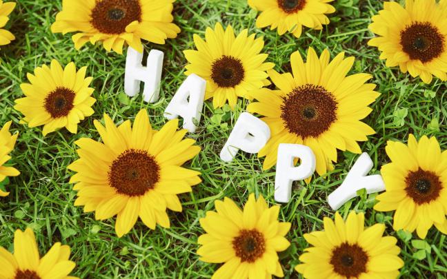 Free Desktop Happy Wallpapers
