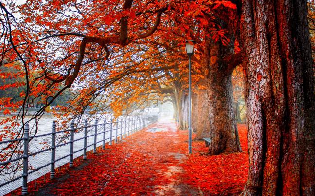 Ultra HD Wallpapers 4K -